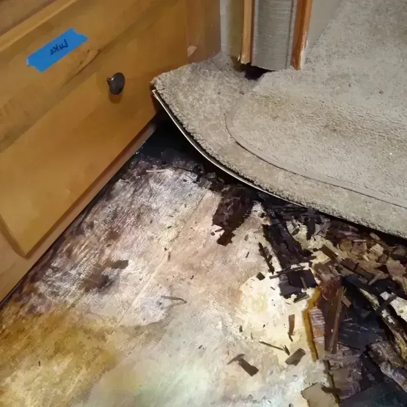 Wood Floor Water Damage in Forestbrook, SC